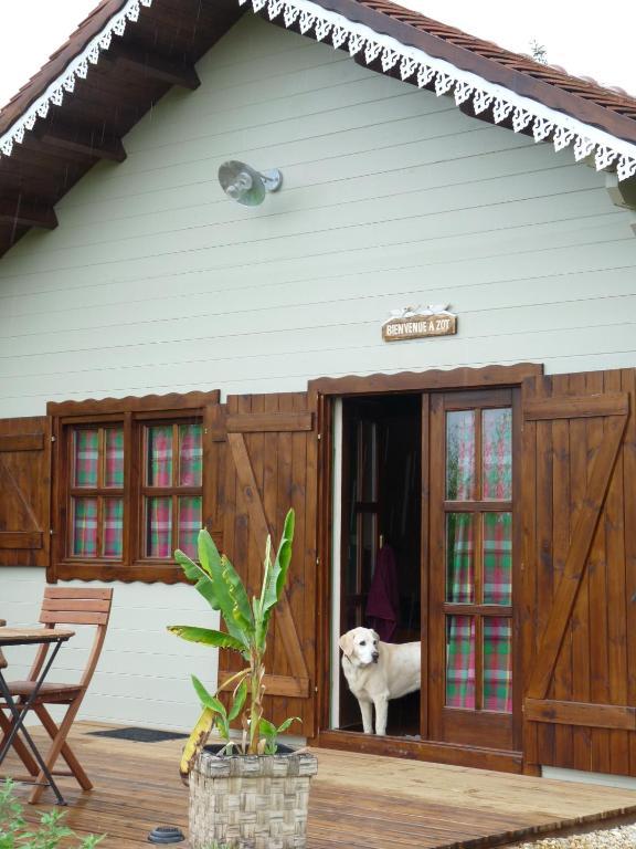 Le Trot'In Chair Bed & Breakfast Martigny-le-Comte Rom bilde