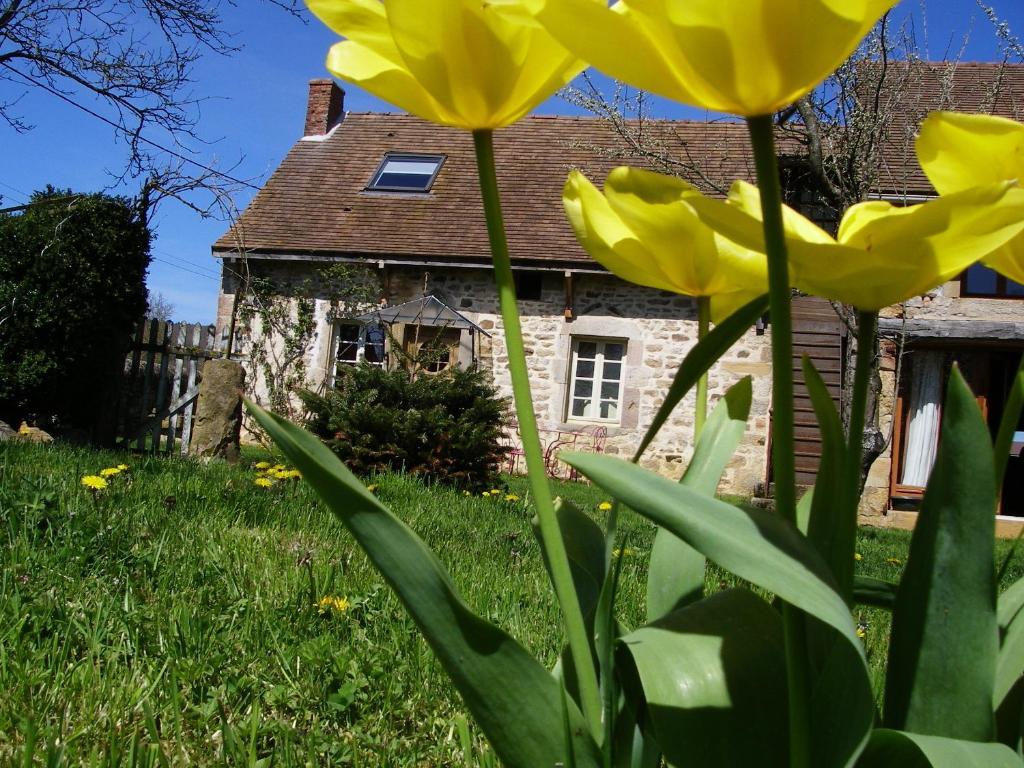 Le Trot'In Chair Bed & Breakfast Martigny-le-Comte Eksteriør bilde