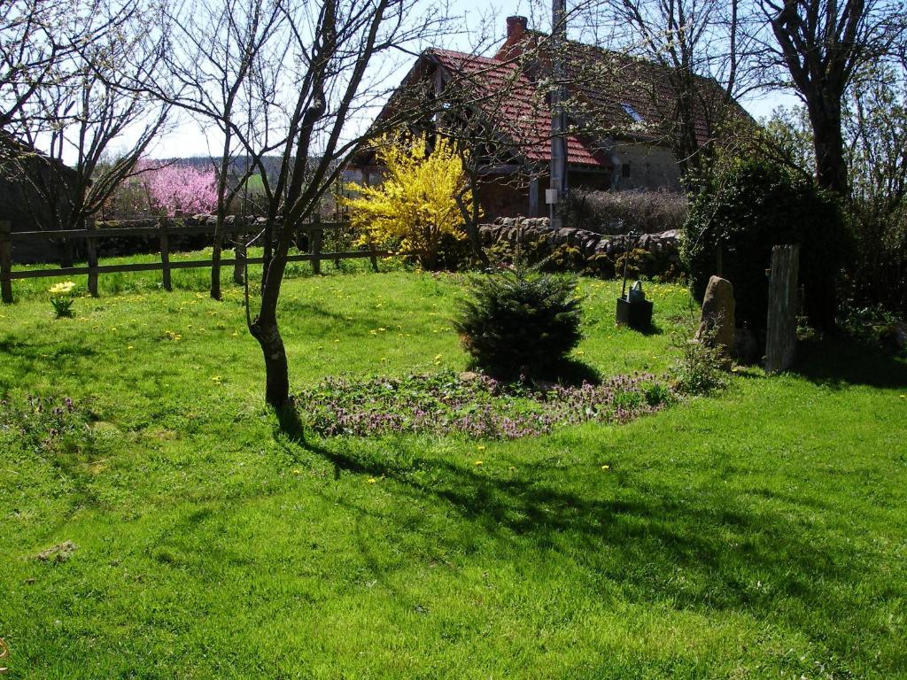 Le Trot'In Chair Bed & Breakfast Martigny-le-Comte Eksteriør bilde