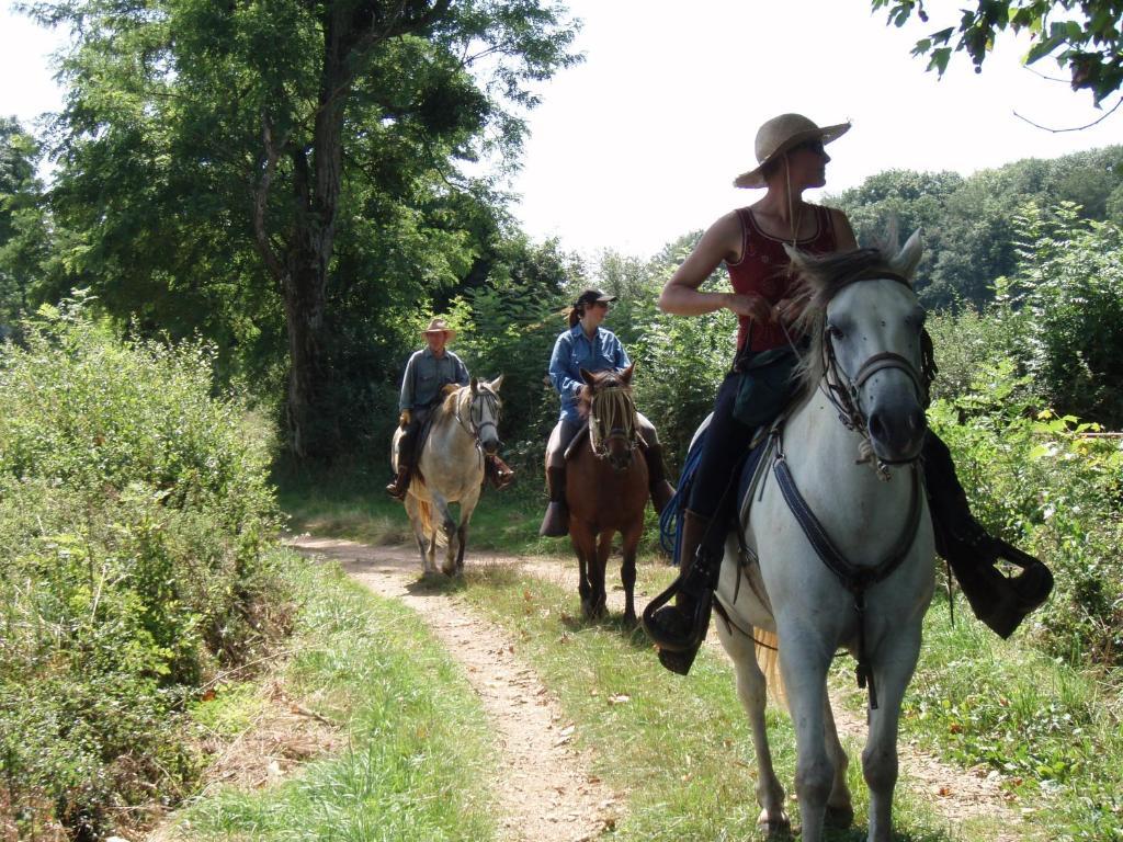 Le Trot'In Chair Bed & Breakfast Martigny-le-Comte Eksteriør bilde